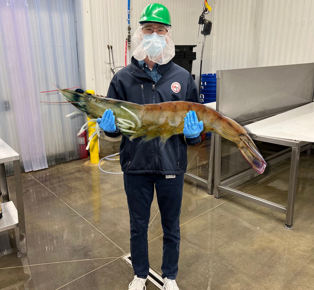 Congressional Sfd tweet media