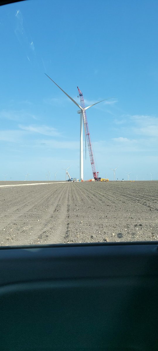 Gus Mengers tweet media