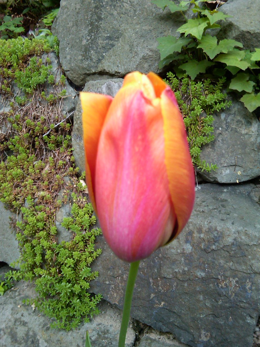 Spring into Success! - mailchi.mp/e2174ac53487/s…