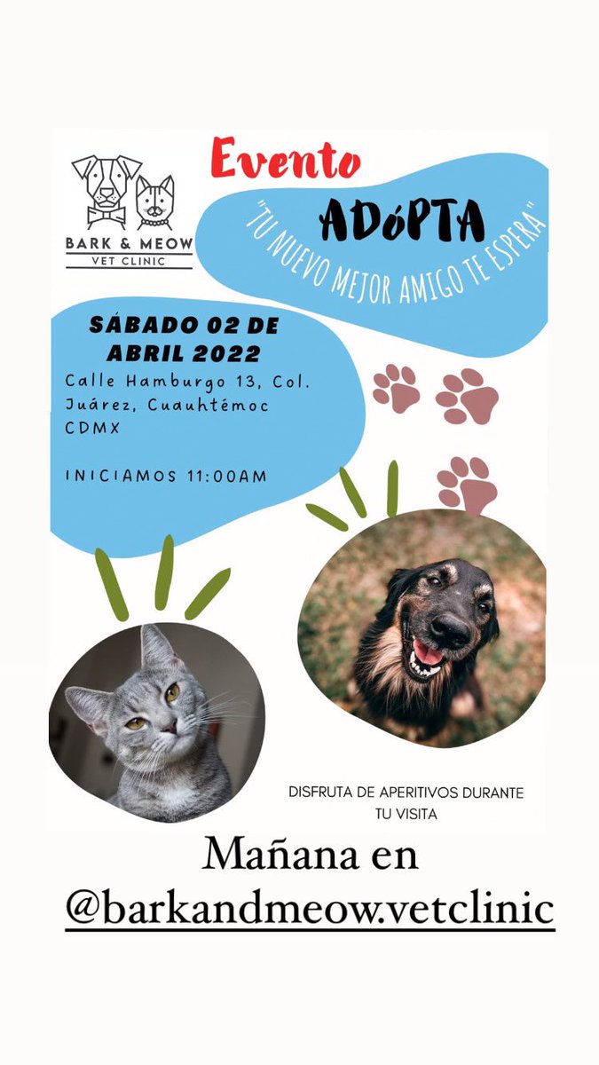 roscanela's tweet photo. Mañana día de adopción en @bark&amp;meow, Hamburgo 13 colonia Juárez a partir de las 11 Am https://t.co/LswD3gh8li