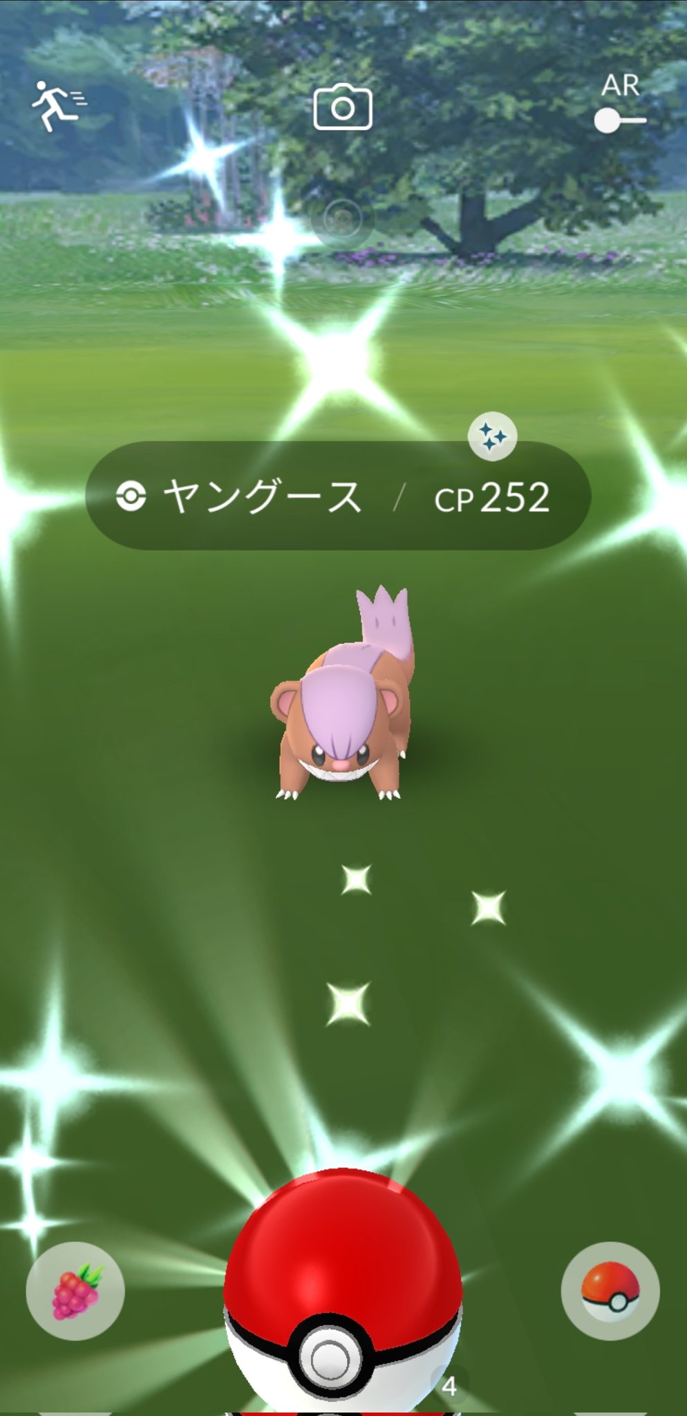 Pokemasa56 2週間ぶりの2体目get 前回の色違いをデカグースに進化 ポケモンgo色違い Pokemongoshiny T Co Uuhjpcjxem Twitter