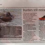 Photo by GeelongDuckRescue (@DuckGeelong)