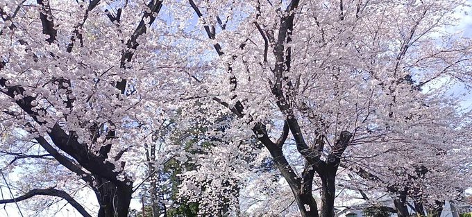 Twitterのコスプレ画像22