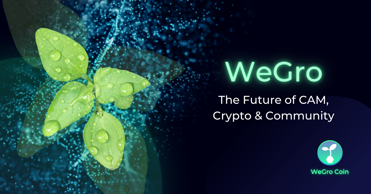 WEGROCoin's tweet photo. π£ Attention, attention!
π± #WeGro is finally here!
WeGro is a community-first platform combining:
β
#Cryptocurrency
β
#CAM industry
β
and #Fintech,
to help the people build the future they always dreamed of!π€©
Get your #WeGroCoin and blockchain solution now!π https://t.co/Vlnqbcj5ah