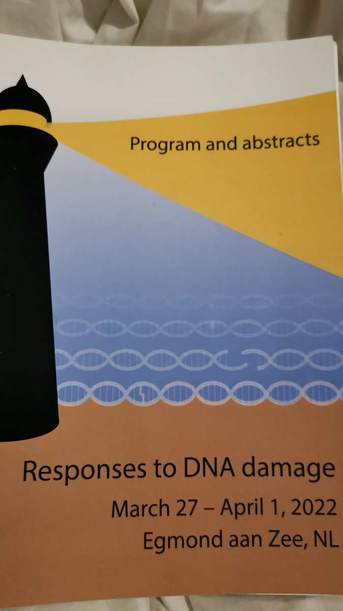 UruciSidrit's tweet image. Had the best time at the 11th DNA repair meeting in #egmondaanzee and feel blessed that my first ever conference was in-person! Was great to get get a chance to present my poster from @Tanejalab and see how much #rloops rock 💪🏻