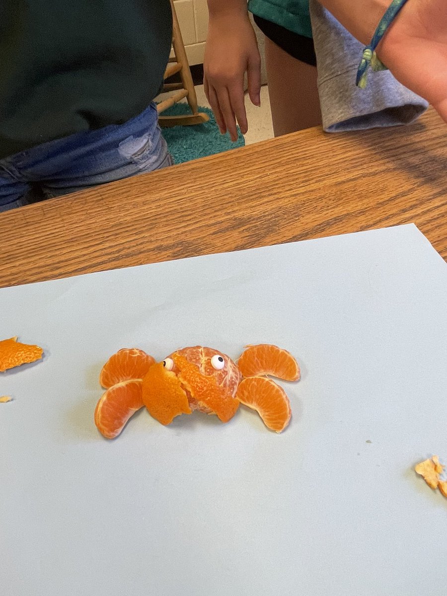 liggett_5's tweet photo. More Culinary Art! #rnegreatthings https://t.co/HSvDAmHnid
