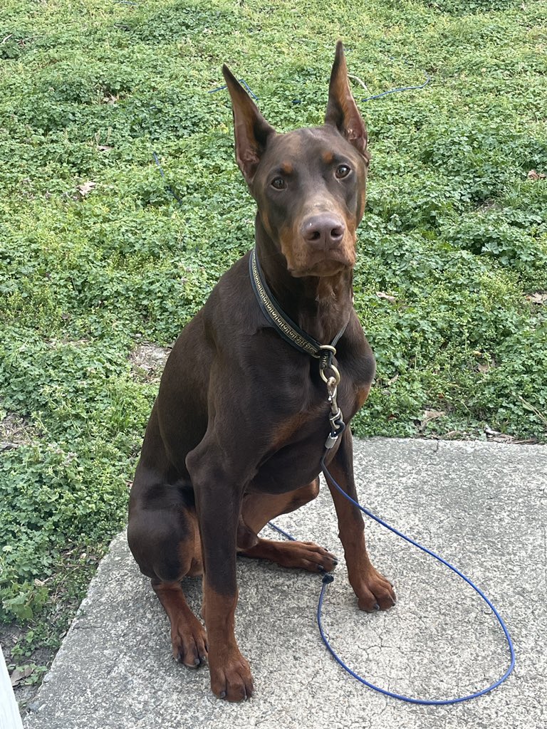 M aka Lawn's Brawn/Dain's Brain tweet media