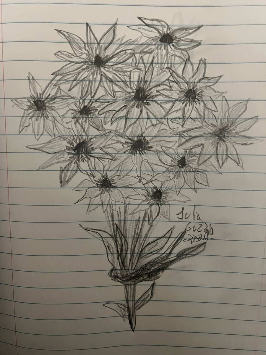 JuliaLaCcat's tweet photo. Pencil sketch of bouquet of flowers, in notebook 9 3/4 x 7 1/2 inches #drawing #pencildrawing #notebookdrawing #contemporaryart #juliaguzzio #contemporaryart #contemporarydrawing https://t.co/5sB95Tt7Uw