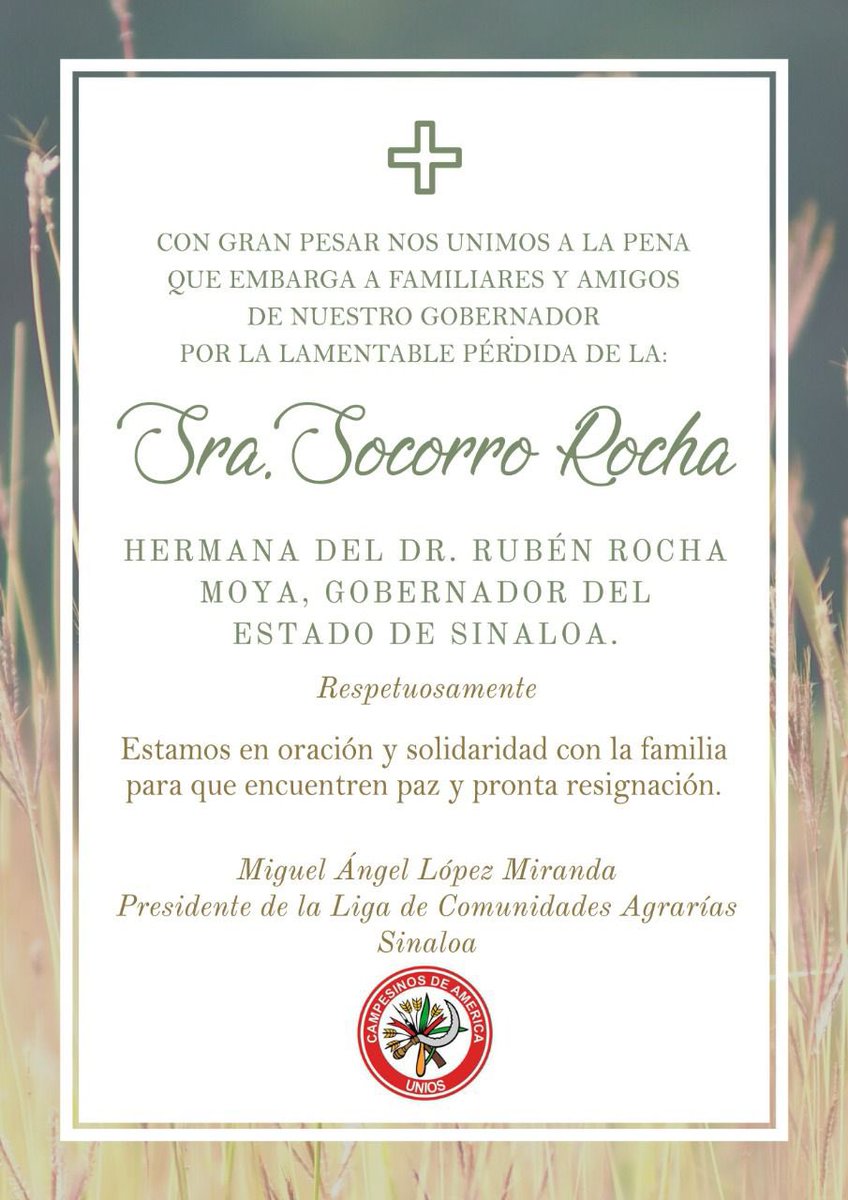 CNCSinaloa tweet media