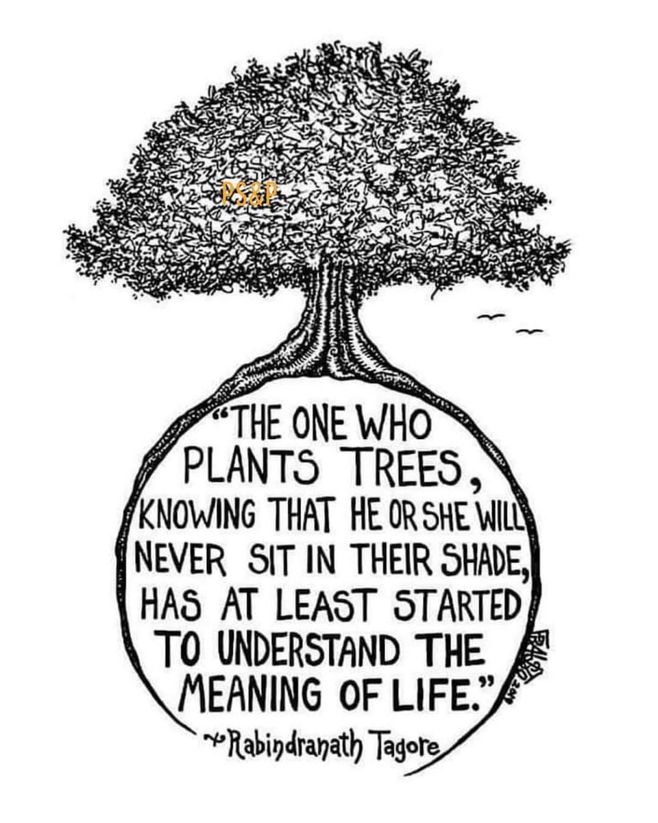 TravelingJenB's tweet photo. I think this can be a metaphor for edu. Those in education regardless of their title (custodian, cafeteria, parapro, teach, admin, etc) plant many "trees" that we don't always get to see grow to bloom. The same is true of how we support the growth of each other. @KirkElementary https://t.co/RsrAclDfMD