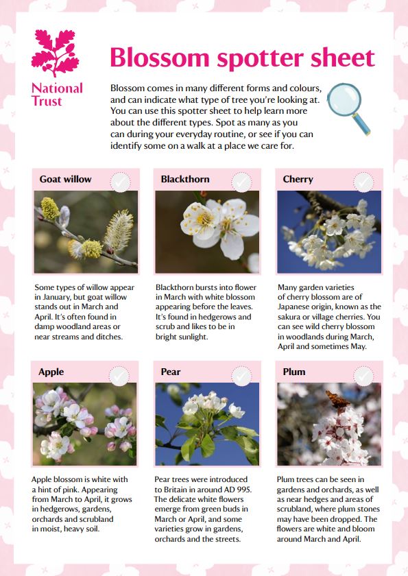 National Trust NI tweet media