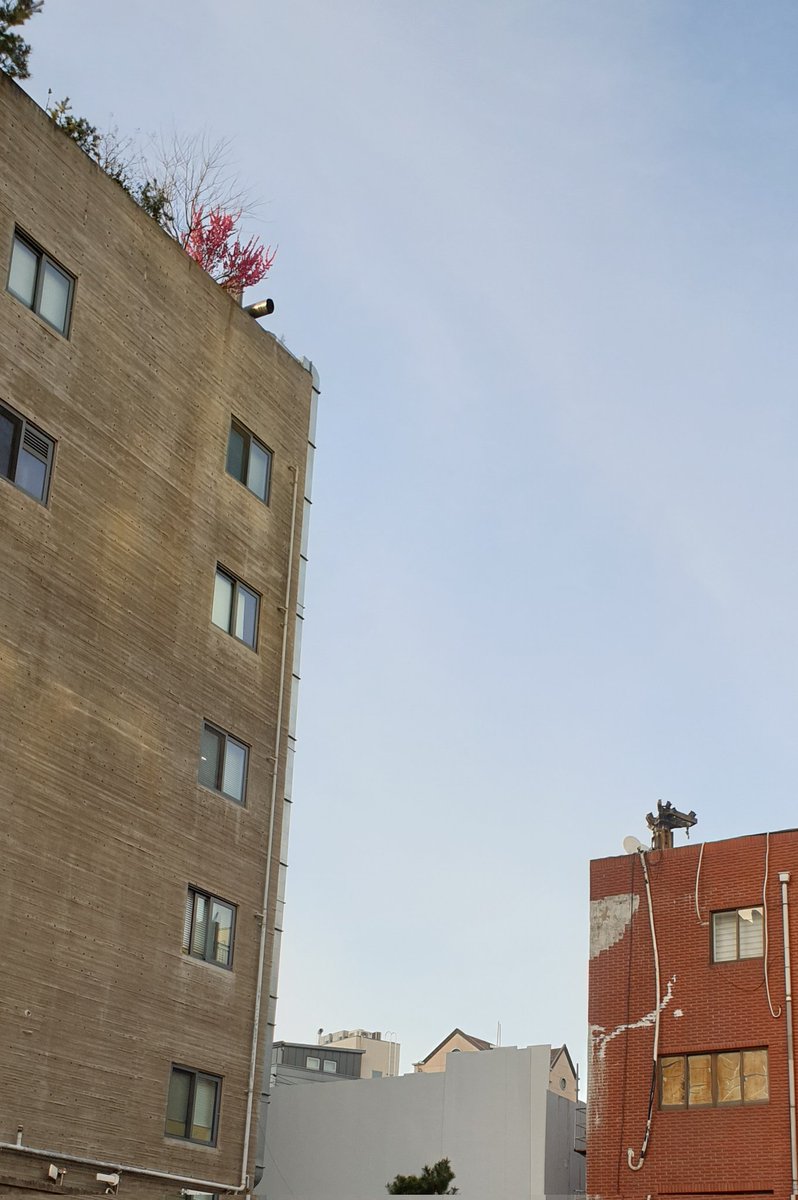 라라라라 (@rararara47) on Twitter photo 