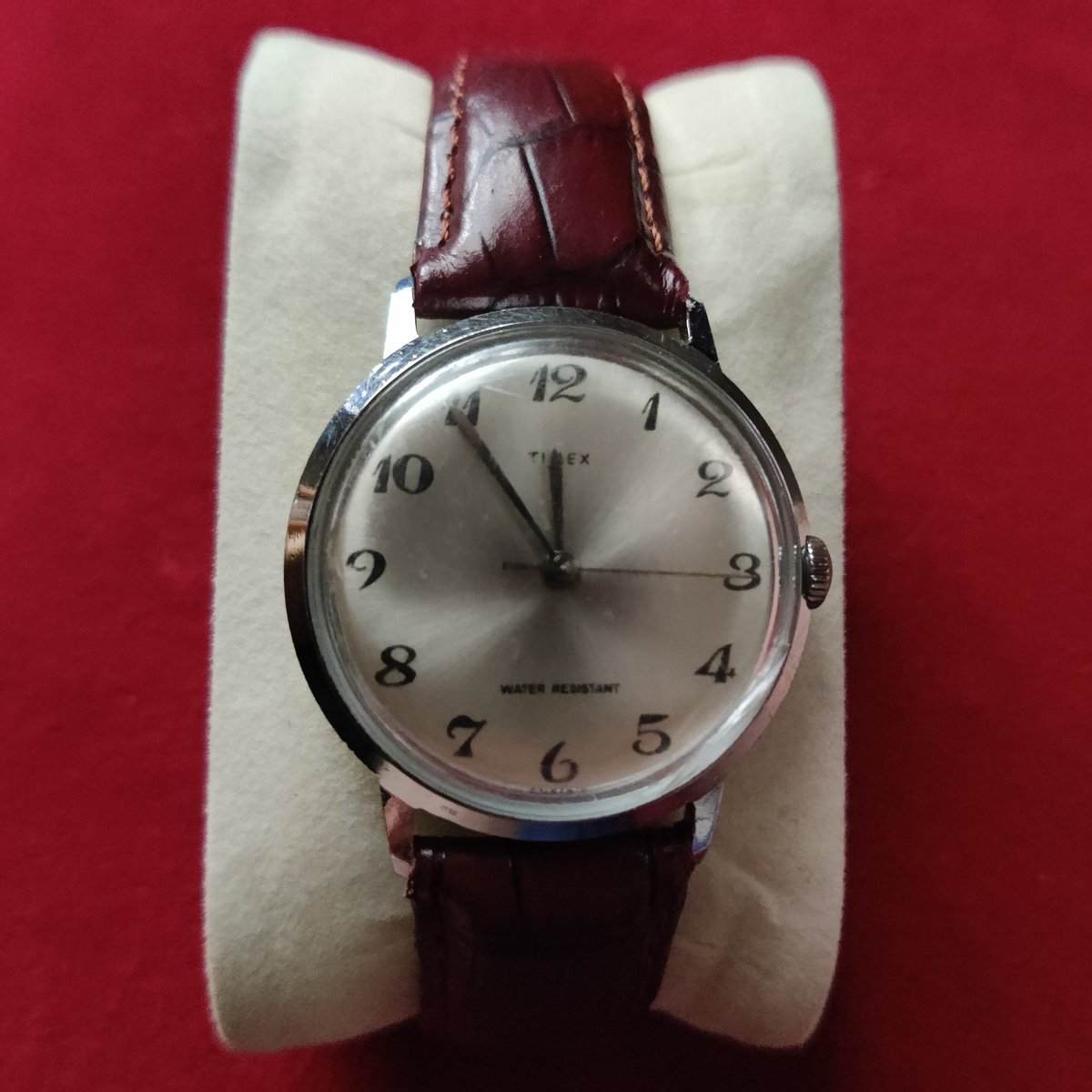 WatchYouKnow1's tweet photo. 1970 Timex Marlin! Old as meπ
Check out my YouTube channel by clicking here:https://t.co/d44NXPJ0Uo
#timexcollection #timexarchive #timexhodinkee #timexstyle #timexwatches #timexvintage #vintagewatch #watchesofinstagram #watchoholic #watchloverβ https://t.co/GQbQBI4ZMz