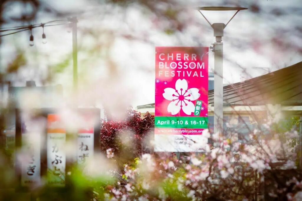 justlai87's tweet photo. After 3 long years...one more week.
.
.
.
#nccbf
#nccbf55 #japantownsf #cherryblossoms #cherryblossomfestival #northerncaliforniacherryblossomfestival #sanfrancisco #onlyinsf #sanfranciscovibe #sfgate #sfchasers #unlimitedsanfrancisco #wonderlustsanfranc… https://t.co/iiJ2b2Q9JU https://t.co/yEdrsjAU8F