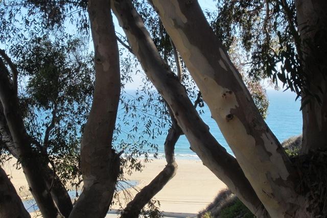 andreaparga7's tweet image. Pacific Palisades, California, 1950. CSH9 Eames &amp;amp; Saarinen Architects. CSH8 Charles &amp;amp; Ray Eames Architects eamesoffice.com/the-work/case-… #eames #homes #casestudyhouse #californiahomes #visual #visualclues #project #design #architecture #modernarchitecture #photography #photoexploratory