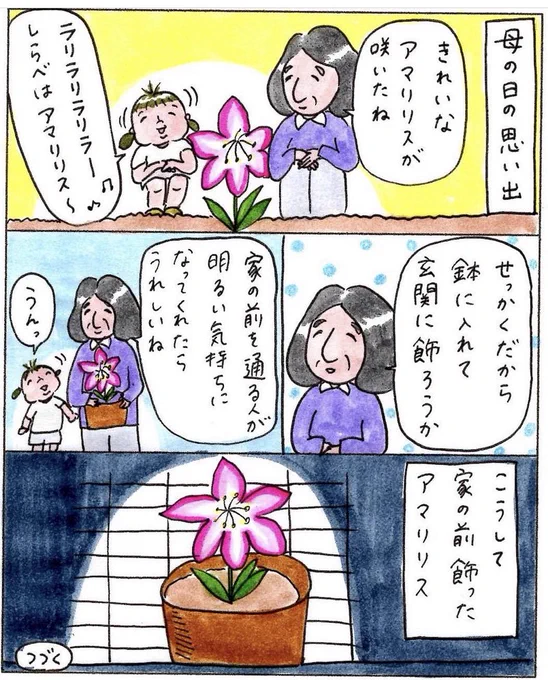 母の日の思い出 