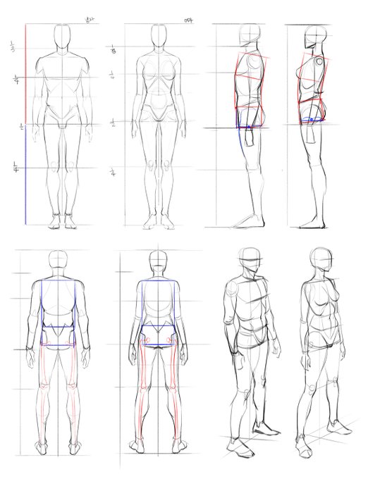김락희님 인체책 모작 시작!
내가 알고 있는 것과 같은 부분, 다른 부분을 맞춰가며 응용해서 그리고 있는데 도움이 많이 되는듯 일단 작심삼일은 넘겼다 