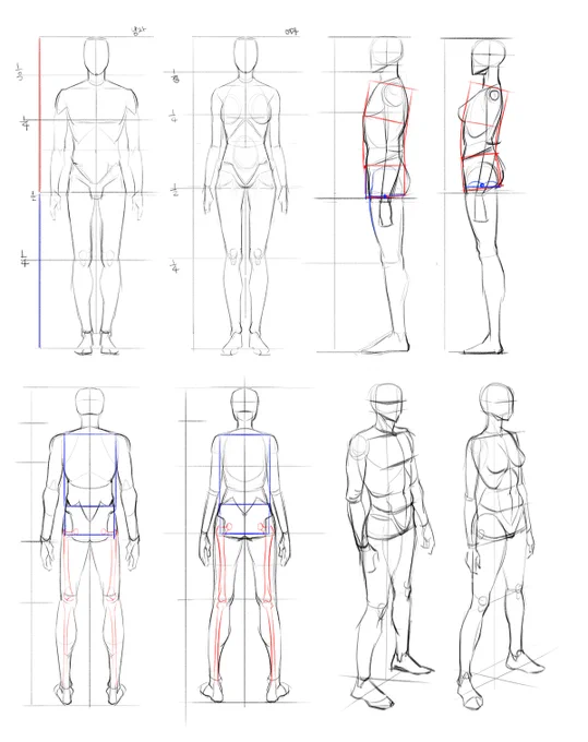김락희님 인체책 모작 시작!
내가 알고 있는 것과 같은 부분, 다른 부분을 맞춰가며 응용해서 그리고 있는데 도움이 많이 되는듯 일단 작심삼일은 넘겼다 