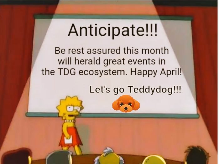 TeddydogToken tweet media