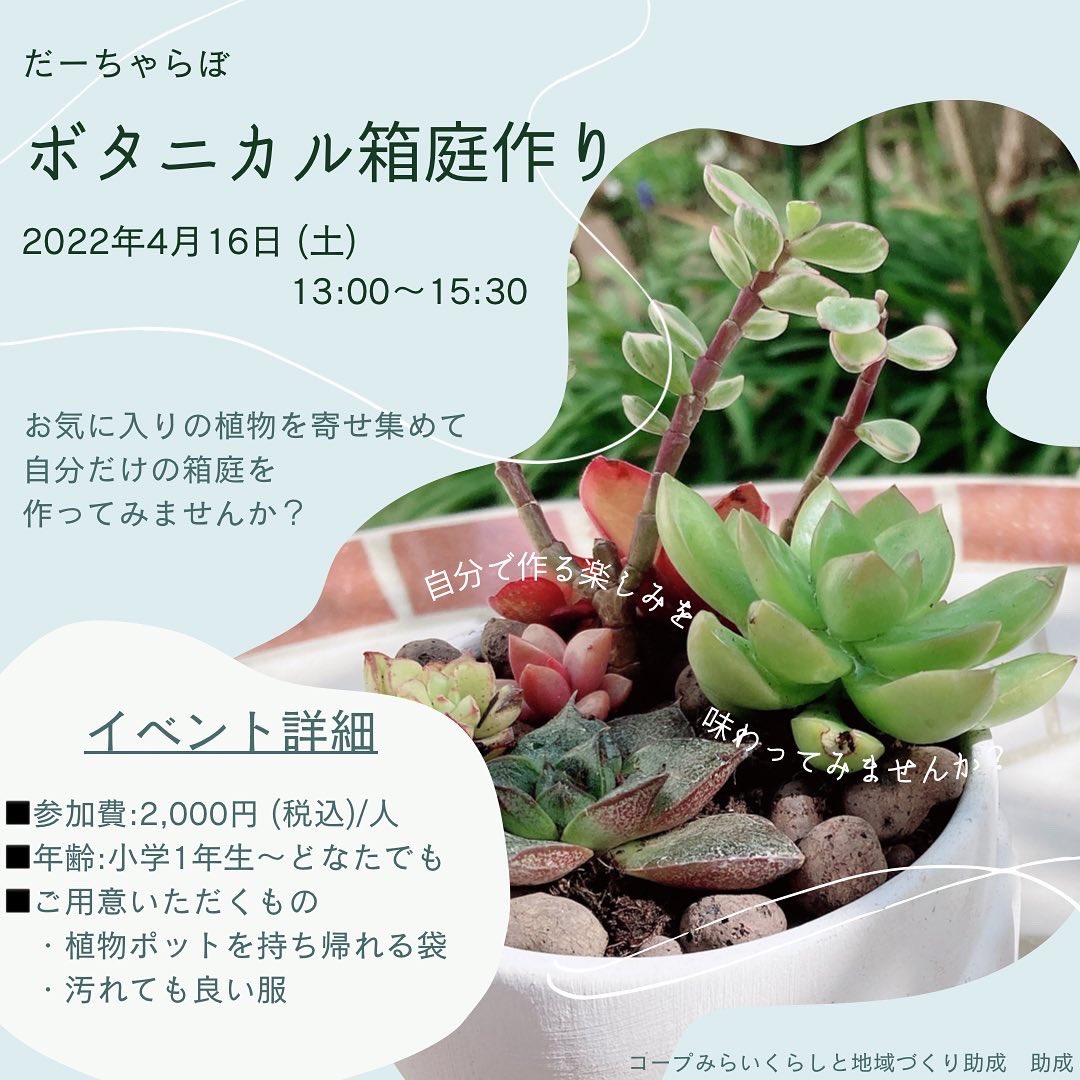 Npo法人だーちゃらぼ フリースクールだーちゃ イベント 4 16 土 13 30 植物で遊ぼう を開催します 多肉植物の寄せ植えで楽しみましょう 友達同士 ご夫婦 地域の方 そして親子でも参加できるイベントですので みなさんぜひ一度遊びにいら