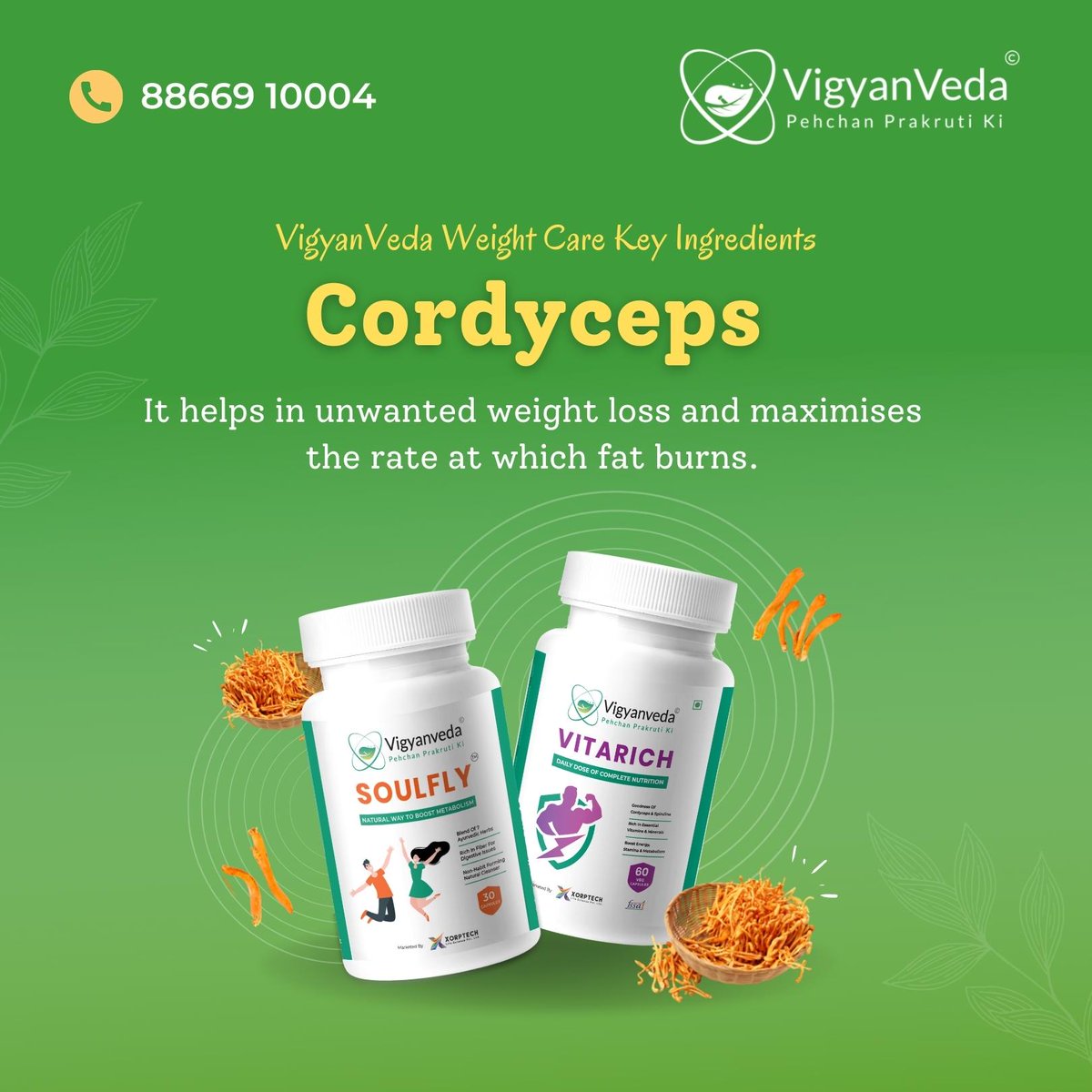 vigyanveda's tweet photo. Get the goodness of ingredients like cordyceps. It helps in unwanted weight loss and maximizes the rate at which fat burns.
๐https://t.co/iBNs8I8a3c
๐ฒ 8866910004
#vigyanveda #weightlosskit #Nutrition #Wellness #vitarich #soulfly #Fssai #Safe #nutritional #cordyceps #ingredients https://t.co/MXNERWXhf3