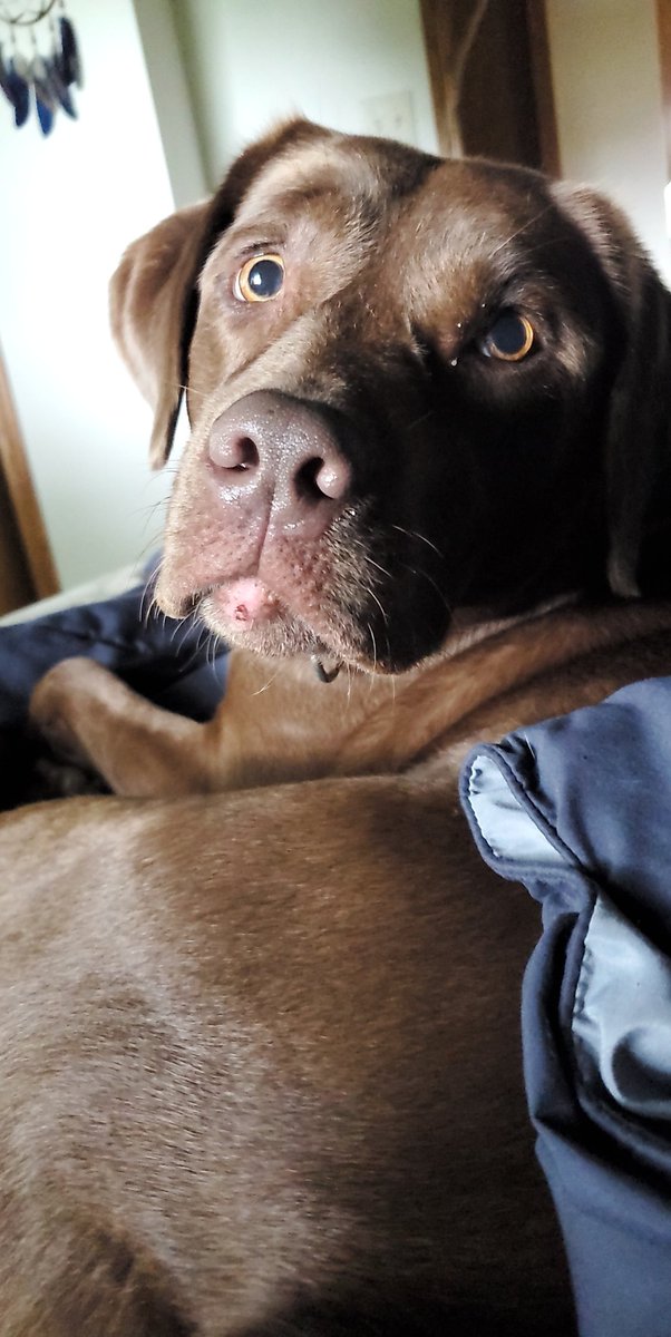 tiptoetim's tweet photo. 3 years old and still an absolute fool https://t.co/8clMHaRe2N
