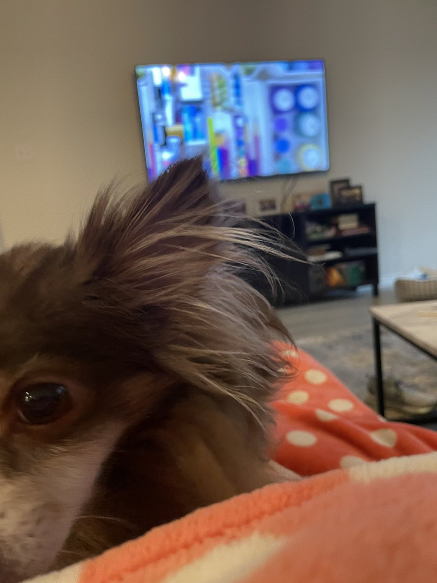 seriouslyshanny's tweet photo. @thehomeedit @netflix @hellosunshine Me!!! ❤️ This little one is ready for y’all to touch our closet to help give him more space!! https://t.co/O5K6zGdYJo