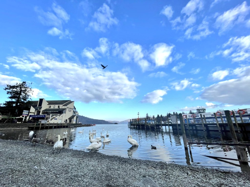 湖水地方にも春がやって来た！⛵️ ホリデー中の同僚からウィンダミア湖の写真が届きました。これから夏にかけて、湖水地方を訪れるのに良い季節です。 ロンドンから電車で片道約３時間。湖のほか山や森や