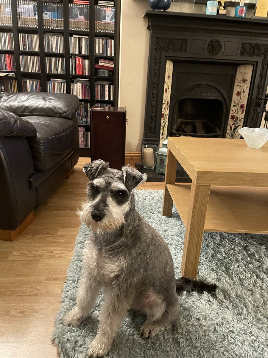 Aideen Hodgins tweet media