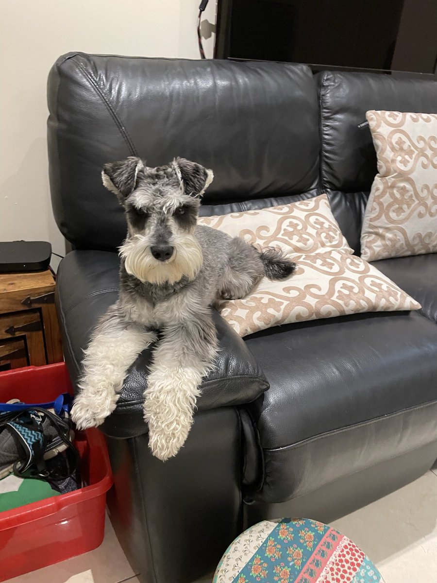 Aideen Hodgins tweet media