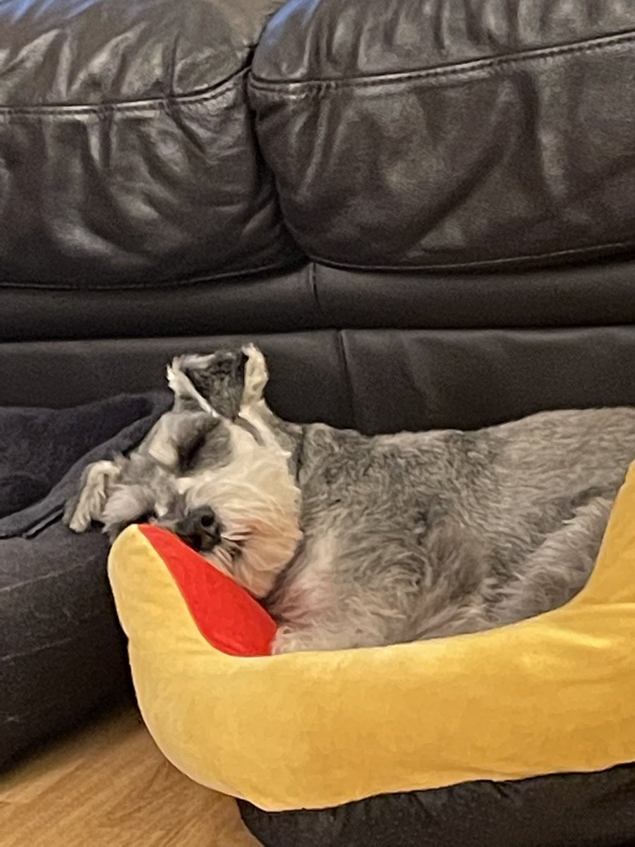 Aideen Hodgins tweet media