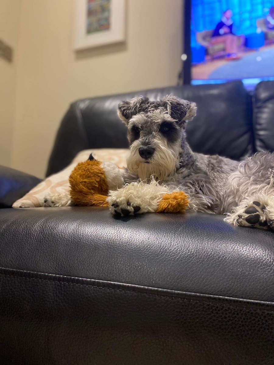 Aideen Hodgins tweet media