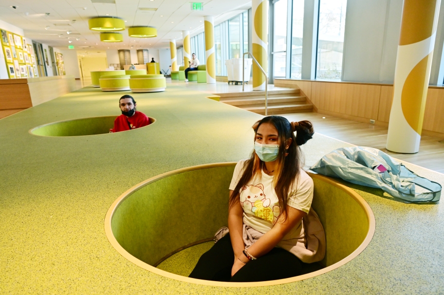 Denver Art Museum tweet media