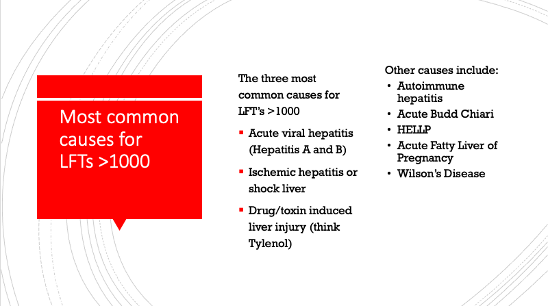 TheGutGurus (@gutgurus) on Twitter photo 