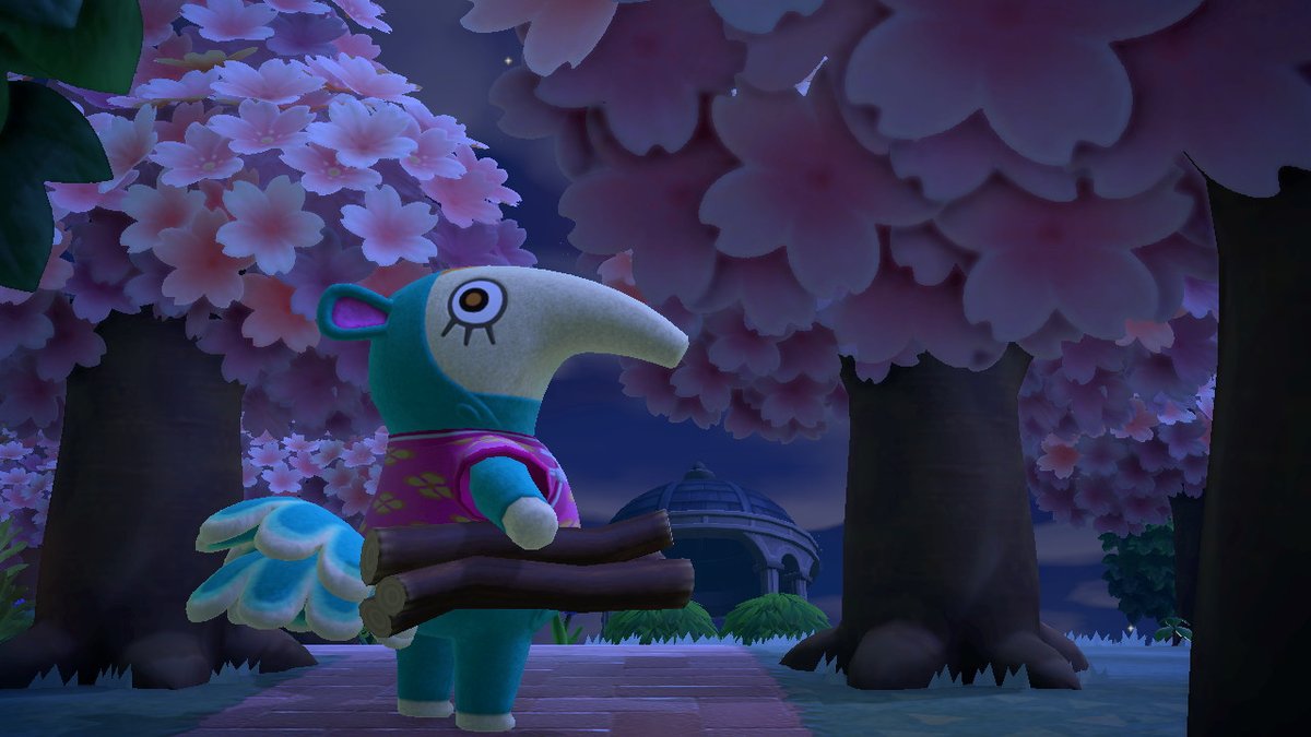 AC_Juniper's tweet photo. welcome zoe, welcome cherry blossoms  #AnimalCrossing #ACNH #NintendoSwitch https://t.co/P8bULCdAEV