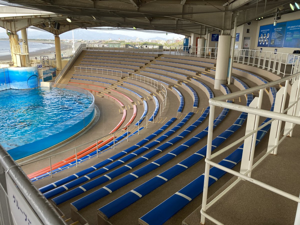 komomo125's tweet photo. イルカショースタジアム一番乗り！

#新江ノ島水族館
#えのすい #enosui
#江ノ島 https://t.co/uQPbq9bGUk