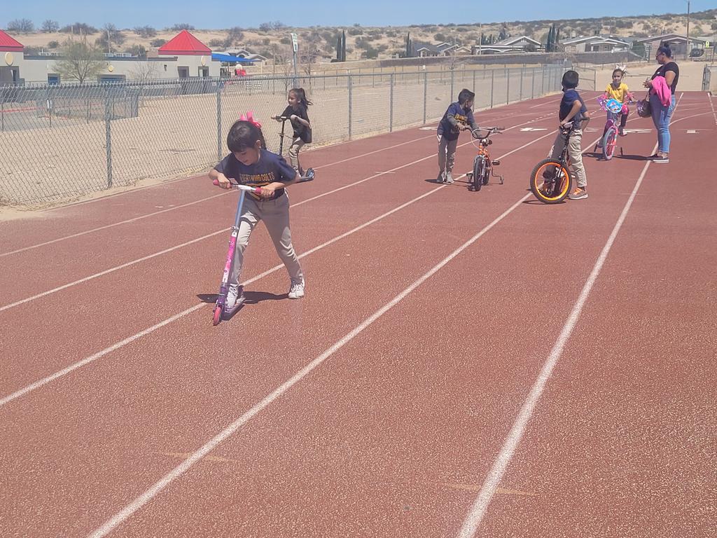 Leticia Terrazas tweet media