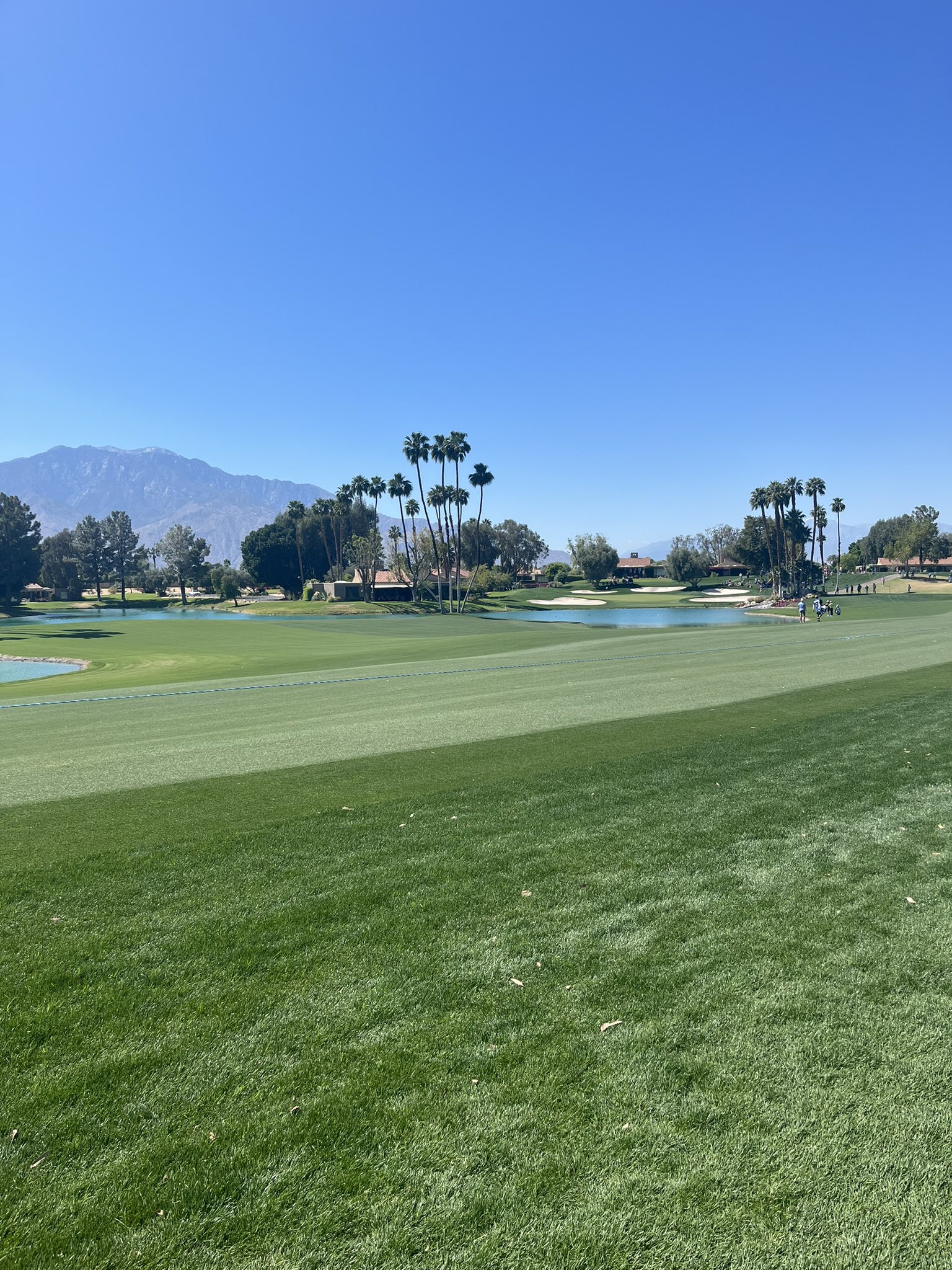 Niall Horan on Twitter "Amazing day Chevron_Golf watching our girls