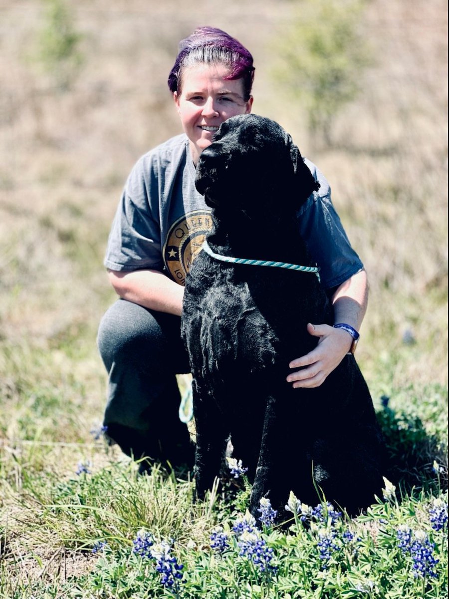 guardianangel08's tweet photo. #bluebonnet pictures a few days ago prior to surgery. Plans to hit up the same spot for all my other dogs' pictures this weekend 🤣🤣🤣 #lifeinTexas #CentralTexas #dogsoftwitter ❤️🐾 https://t.co/sAPpaVXt5m
