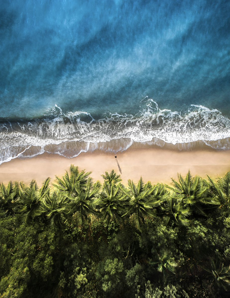 MerrWatson's tweet photo. Gm from my happy place 🌴 Wishing you all a bright and colourful weekend! https://t.co/qkXxIdpyFL