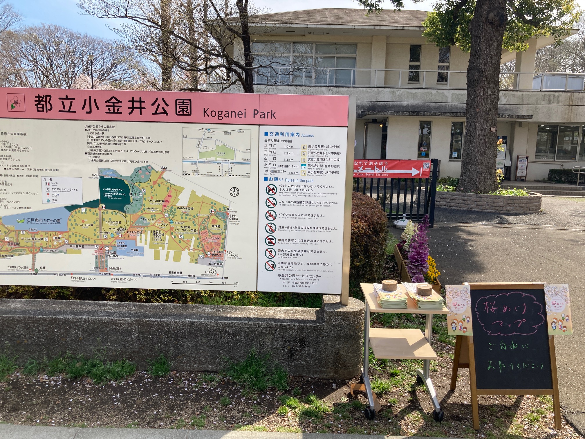 名前 ニュージーランド 乱れ 小金井 公園 駐輪場 自転車 フィットネス 原子炉 足音