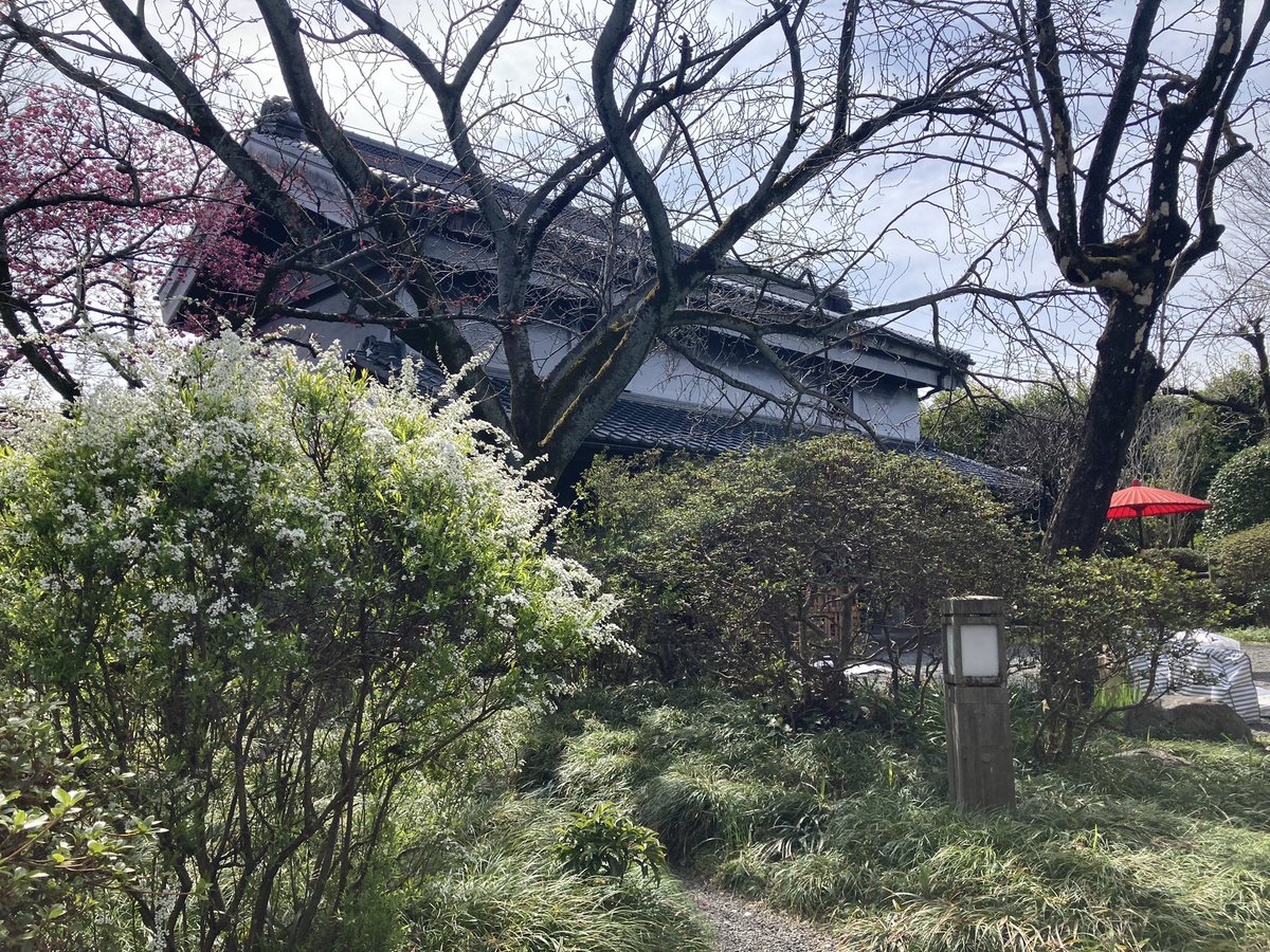 Maryforpeace's tweet photo. 晴れました☀️良かった！
設営開始します。
12時よりお待ちしています！
#千代鶴
#中村酒造
#あなたとつくる
#イベント
#書道
#写真
#studioFRAISE
#るのびと
#あきる野市 https://t.co/3EIMfwCwaD