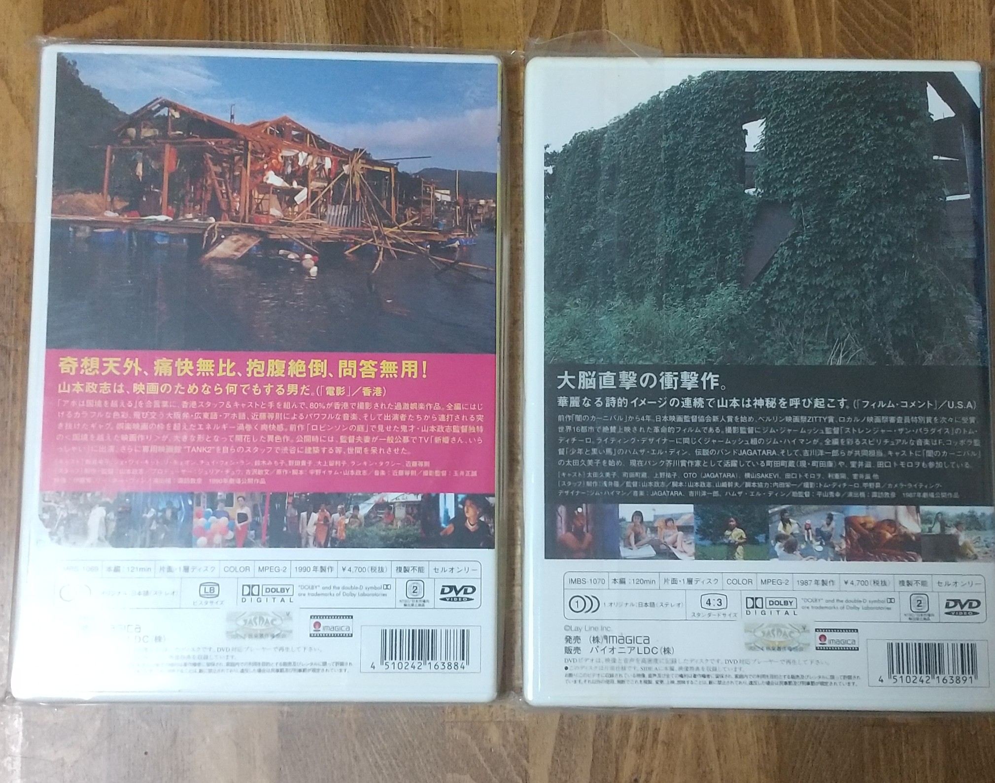 最新コレックション ロビンソンの庭 DVD 日本映画 - www.mijugueteria