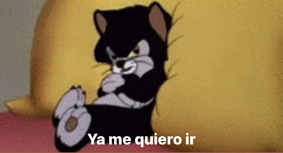 “Voy a salir y trataré de ser más sociable”

Yo cuando salgo:
