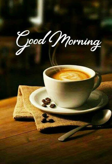 officialvidplex's tweet photo. Good morning guys 😊
#GoodMorningTwitterWorld #goodmorning https://t.co/LnJRp5dpkb