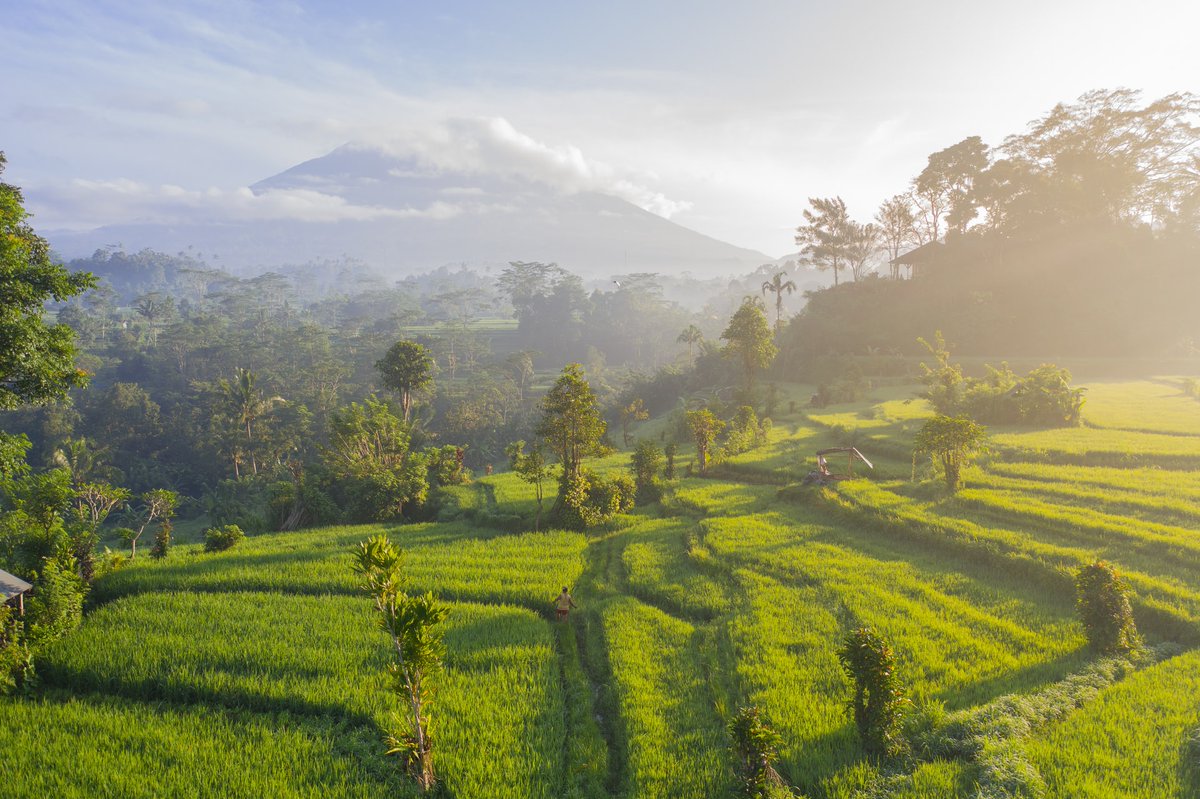 We are a family from Singapore and are proud to be a family-run business. We moved to live in Bali in 2011, after falling in love with the island over several years.🥰