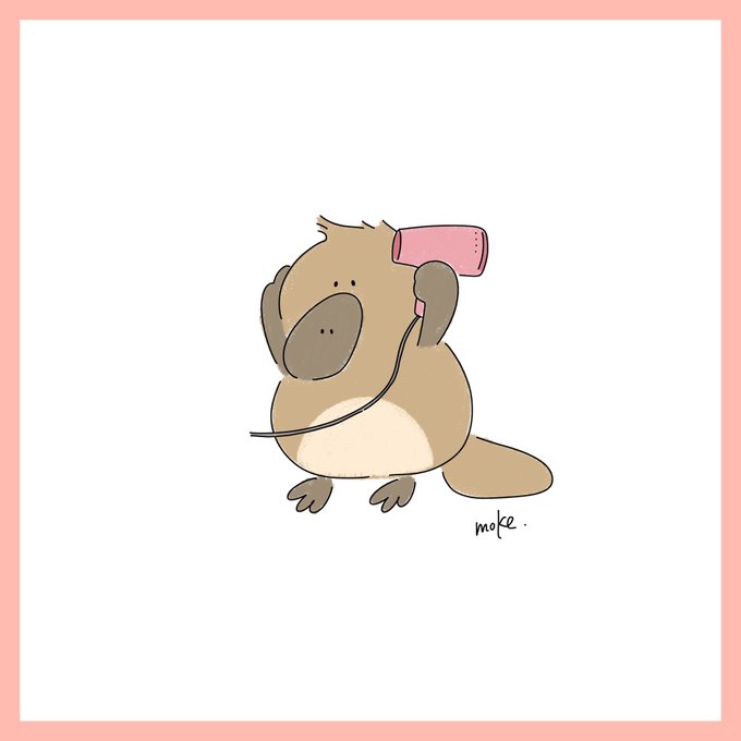 カモノハシのtwitterイラスト検索結果