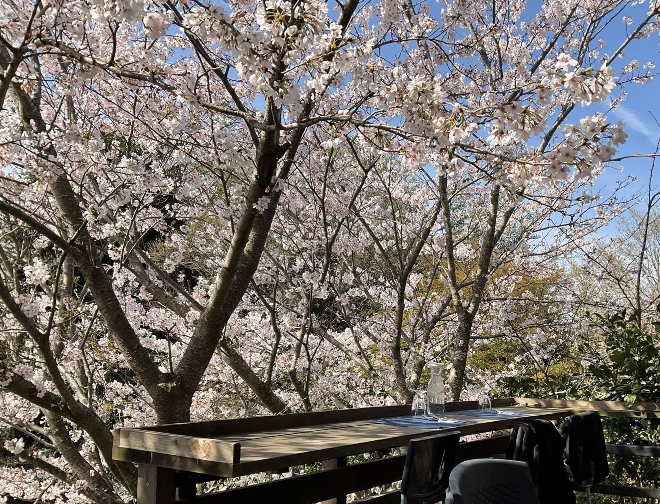 ウッドマンズヴィレッジ Twitter Search Twitter