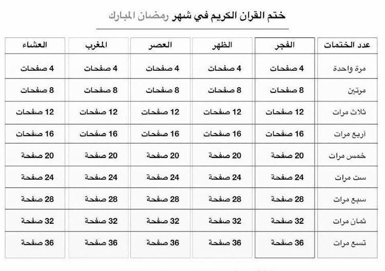 RASHED |  tweet media