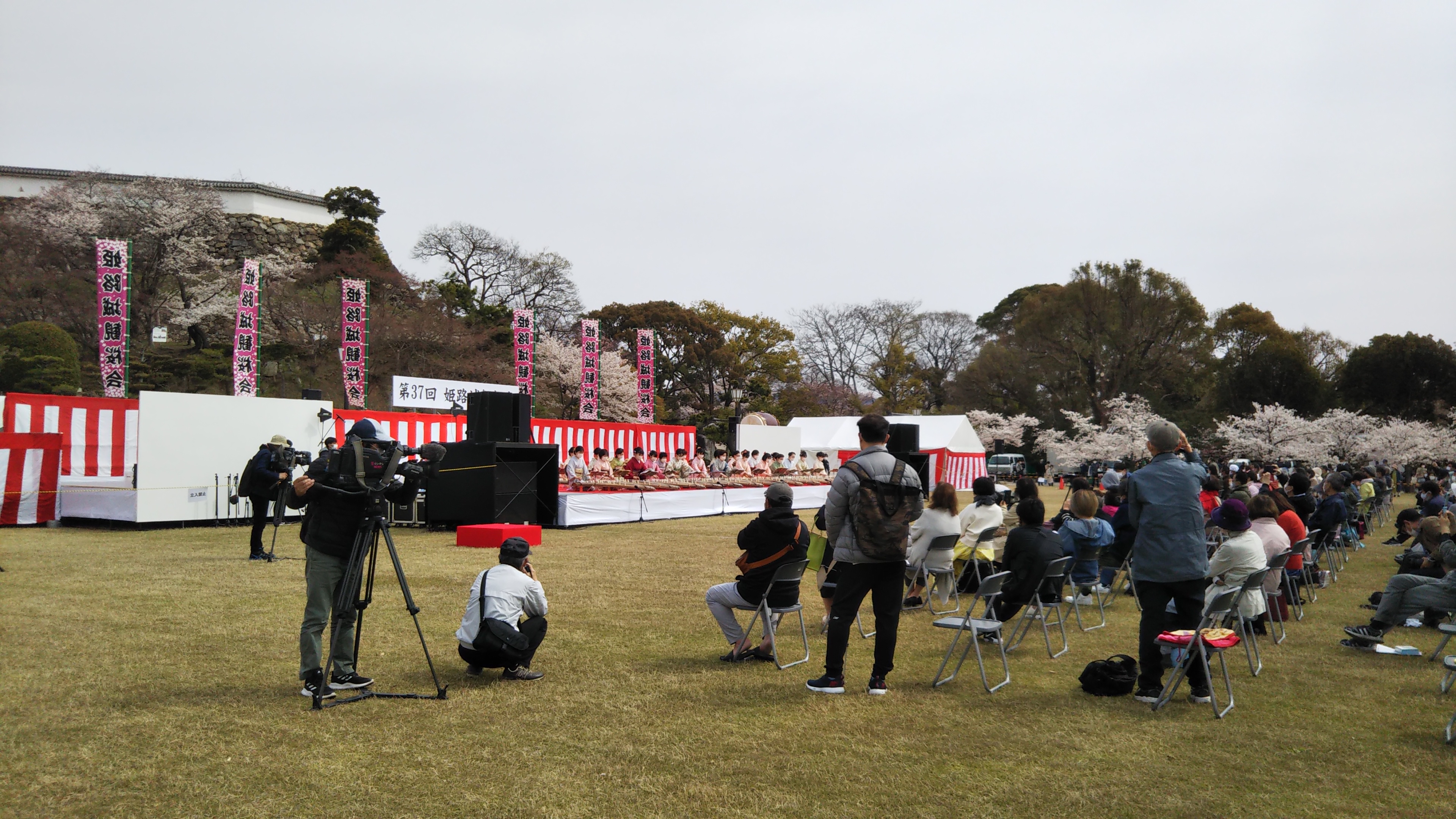 第40回姫路城観月会 姫路城イベント実行委員会公式 第37回姫路城観桜会 始まりました 琴の演奏が始まっております 観覧スペースには500席をご用意しております ただいま空き席数少数となってきております 満席の際はご入場をお待ちいただくことが